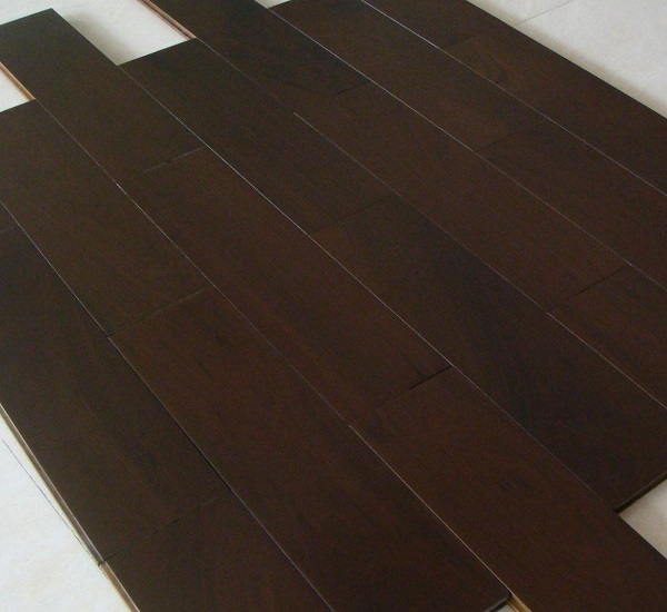 重蚁木 重蚁木
