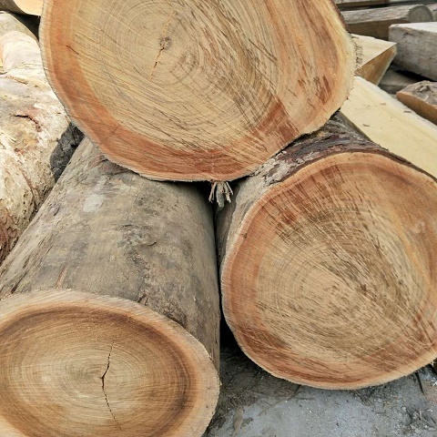 非洲菠萝格防腐木好不好,非洲菠萝格木材优缺点